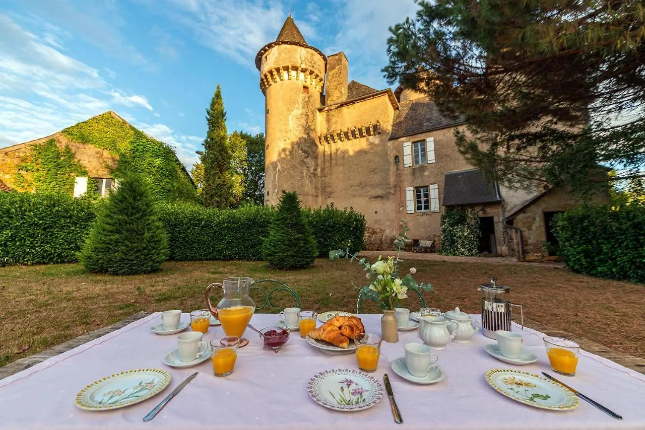 Chateau Garinie 15Th Century Medieval Castle In The South Of France Lugan  France