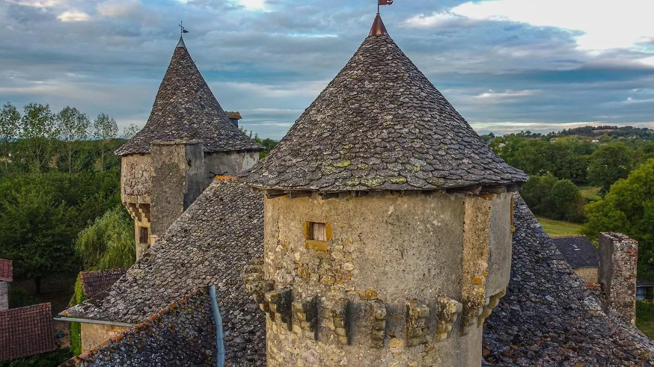 Holiday home Chateau Garinie 15Th Century Medieval Castle In The South Of France Lugan  France